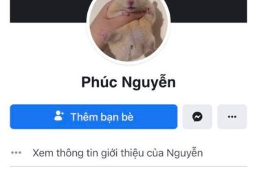 ảnh