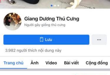 ảnh