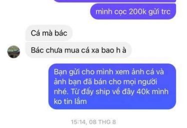 ảnh