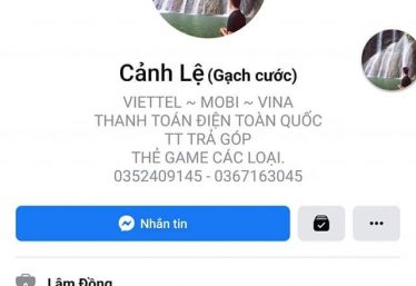 ảnh