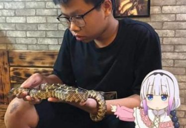 ảnh