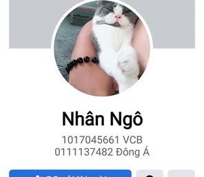 ảnh