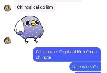 ảnh