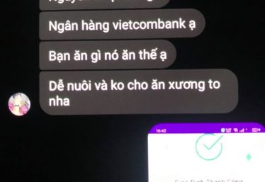 ảnh