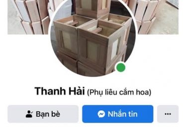 ảnh