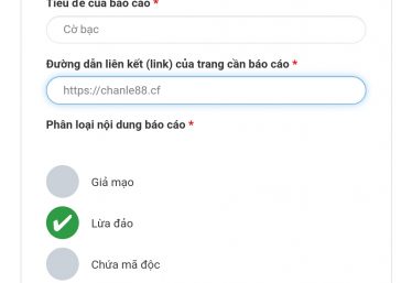 ảnh