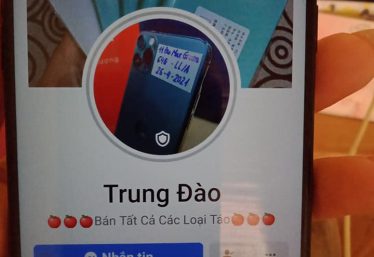 ảnh