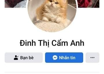 ảnh