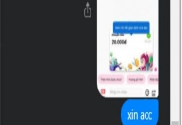 ảnh