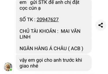 ảnh