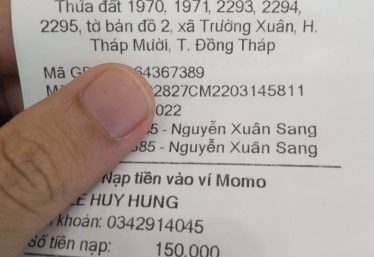 ảnh