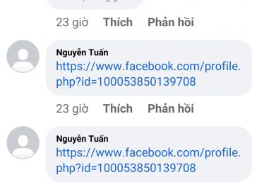 ảnh