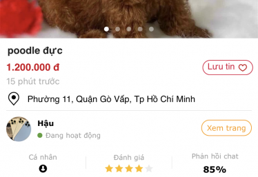 ảnh
