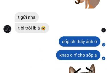 ảnh