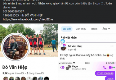 ảnh