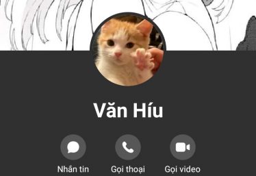 ảnh