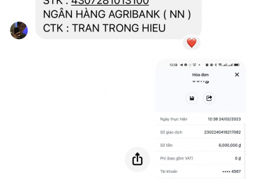 ảnh