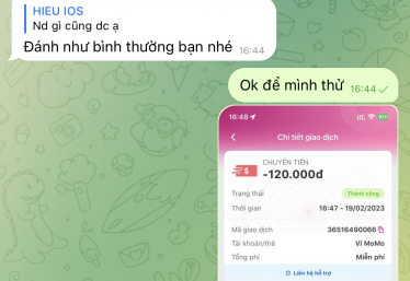 ảnh