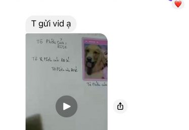ảnh