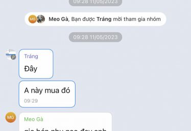 ảnh