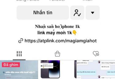ảnh