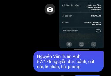 ảnh