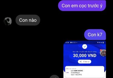 ảnh