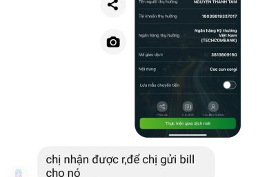 ảnh