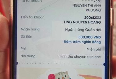 ảnh