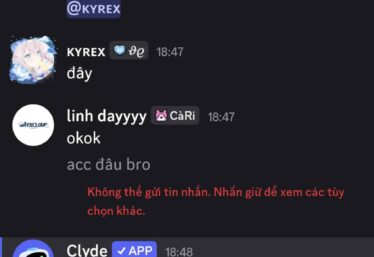 ảnh